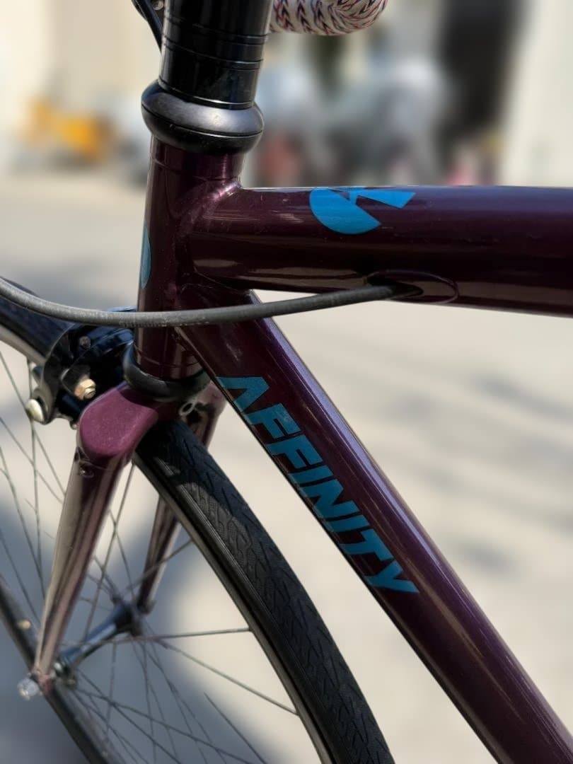 AFFINITY CYCLES　完成車　シングルスピード