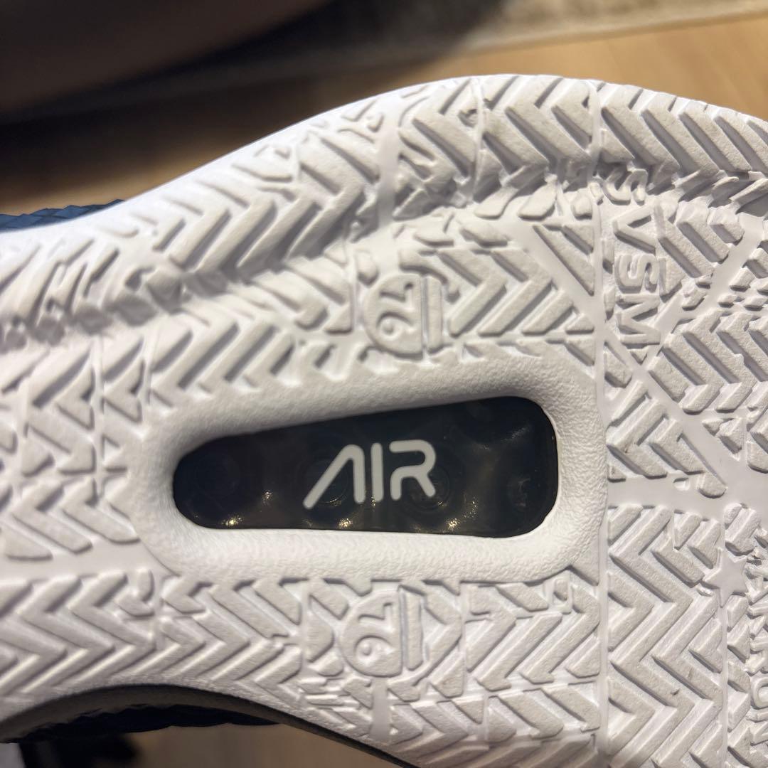 シューズ(男性用) NIKE AO4433-001 LEBRON WITNESS III