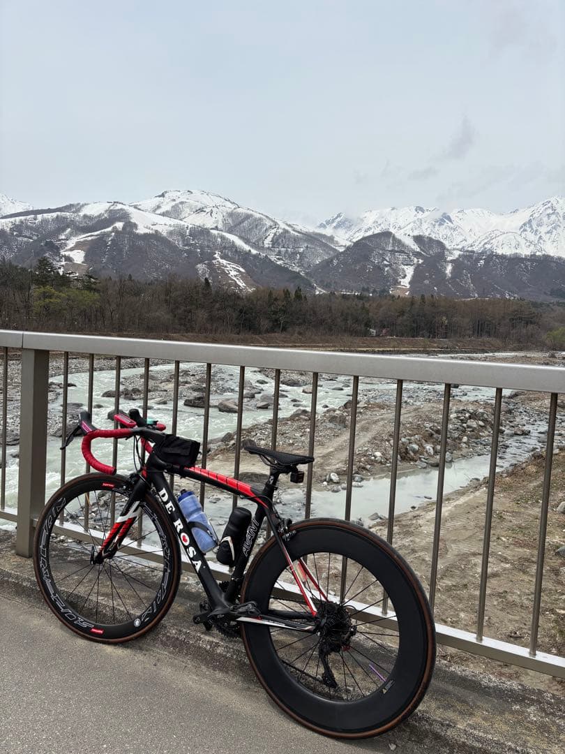 しゅんき DE ROSA AVANT カーボンフレーム