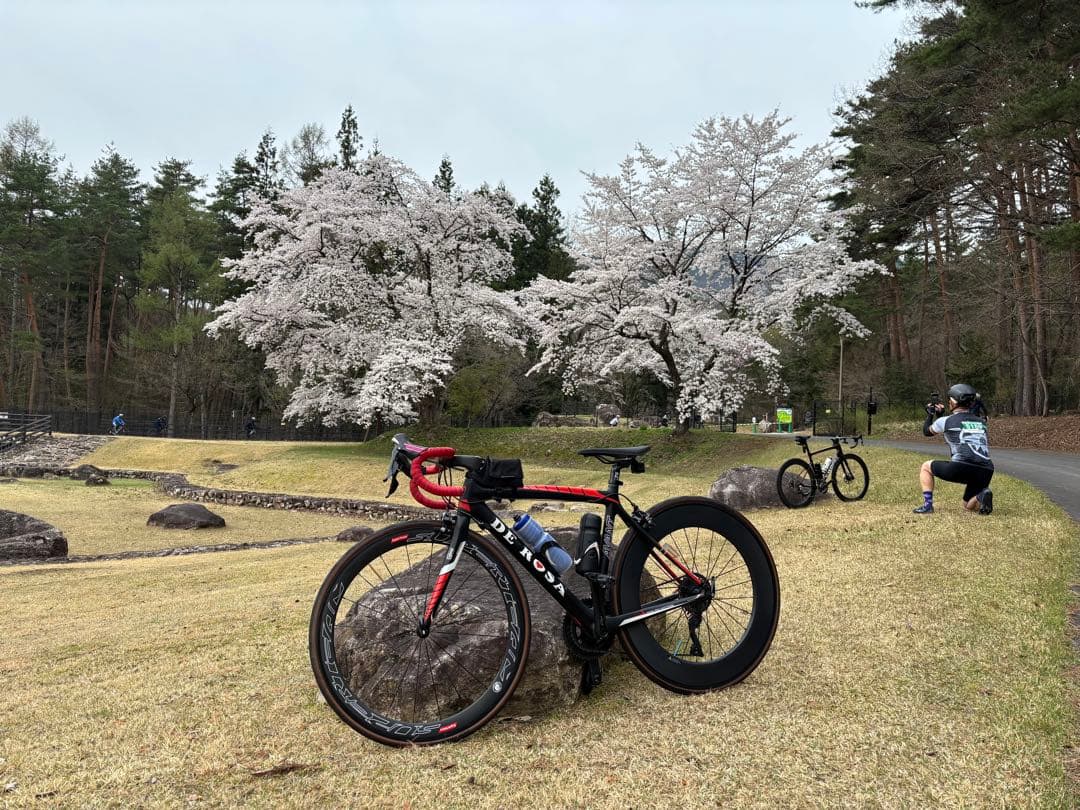 しゅんき DE ROSA AVANT カーボンフレーム