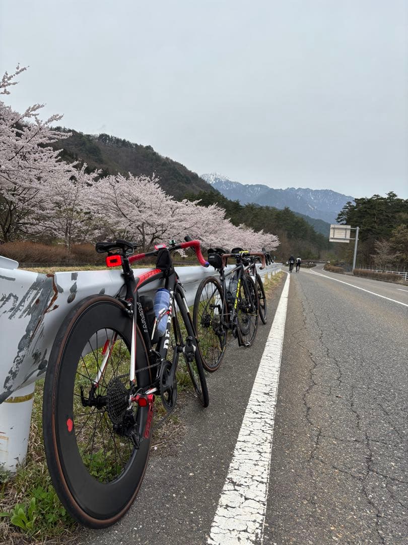 しゅんき DE ROSA AVANT カーボンフレーム
