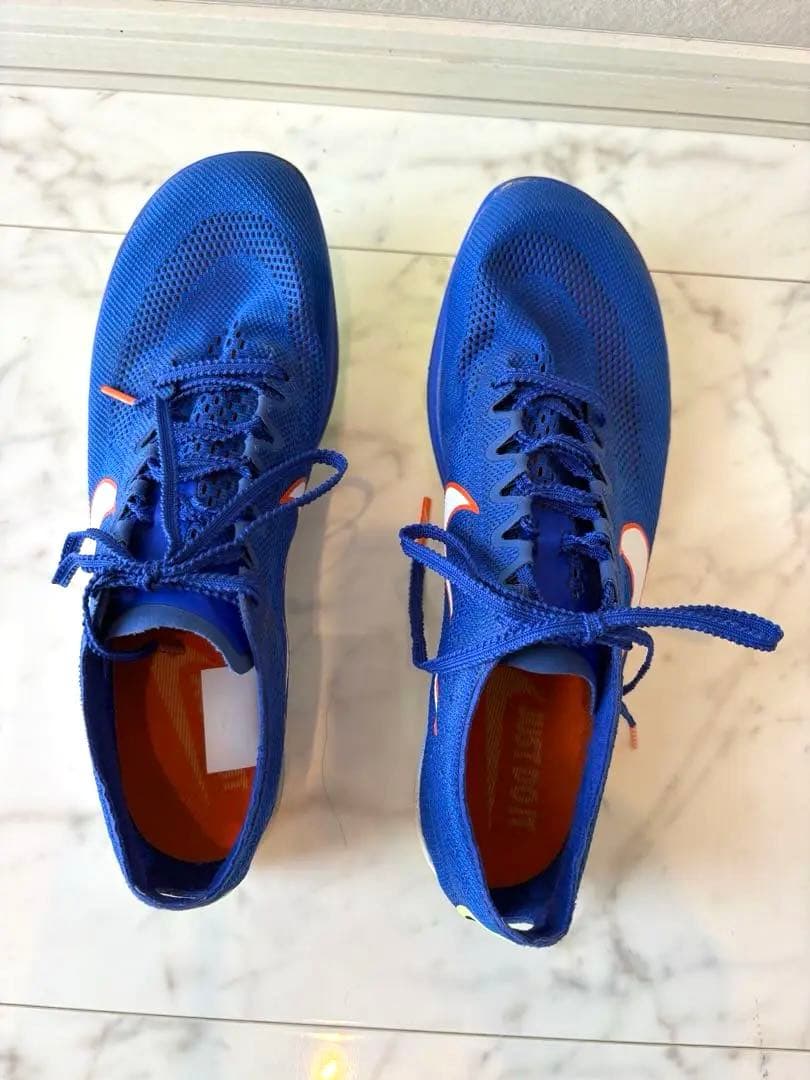 【25.5㎝】Nike ドラゴンフライ　ブルー