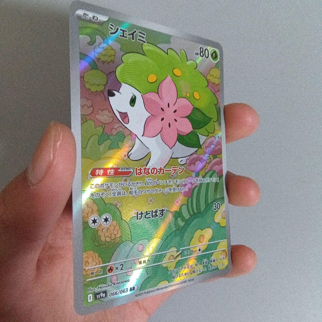 ポケモンカード シェイミ カミツレのきつけ ラプラス 3枚セット