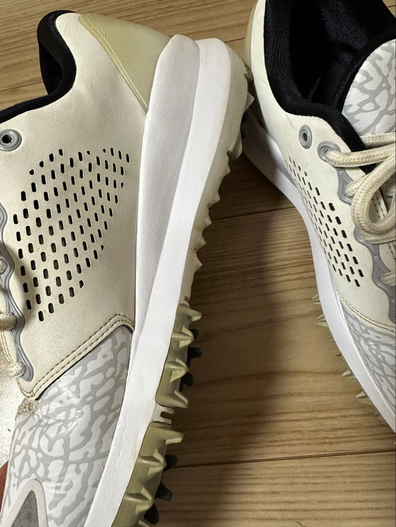 NIKE Air Jordan Trainer ST G ゴルフシューズ26㎝