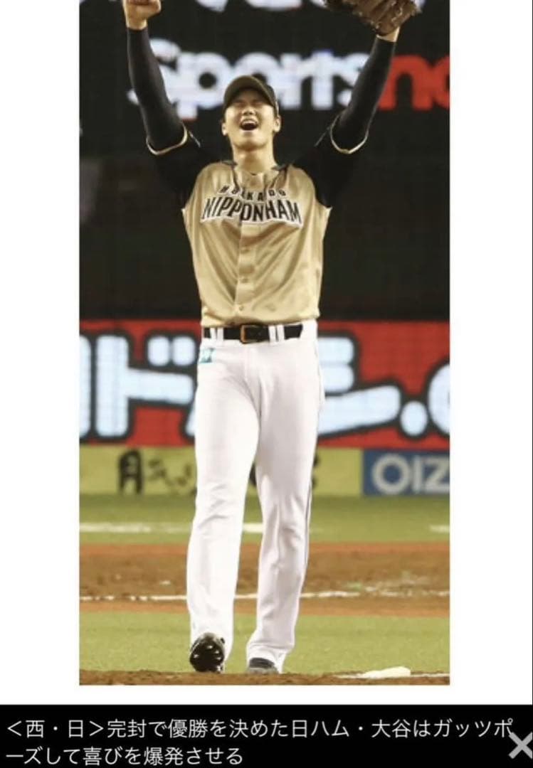 北海道日本ハムファイターズ　大谷翔平選手ユニフォーム　ビジターモデル　WBC