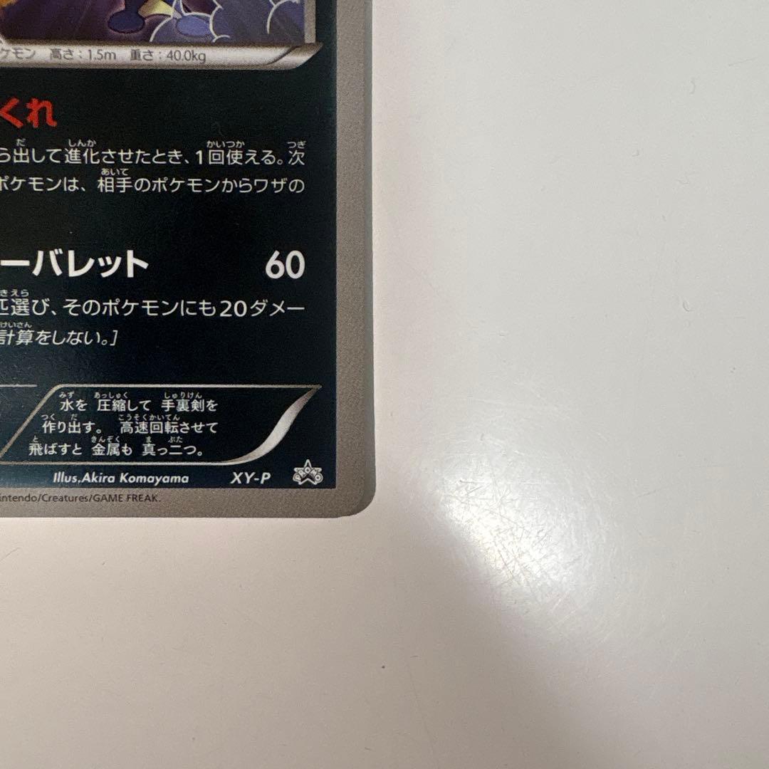 ゲッコウガ　リザードンメガバトル