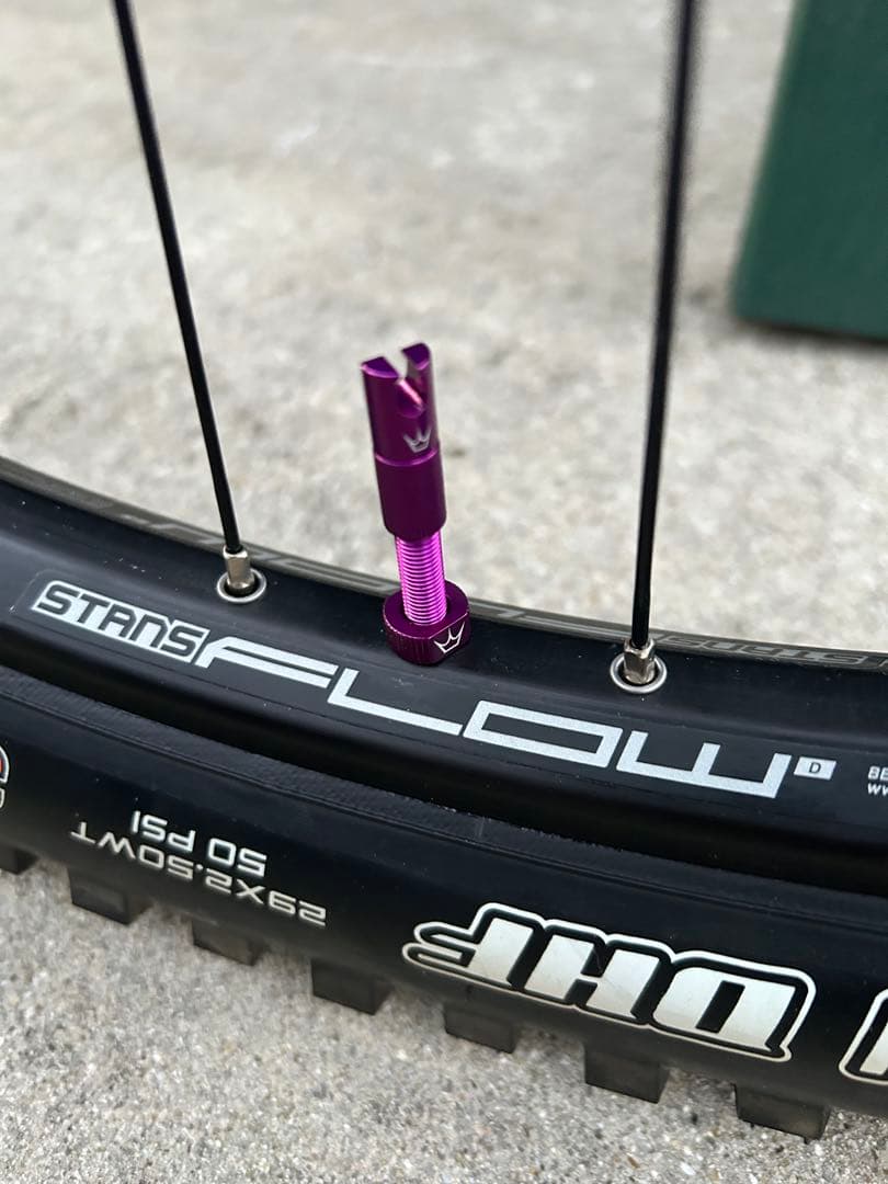 ① SANTA CRUZ chameleon カメレオン　サンタクルーズ　極美品