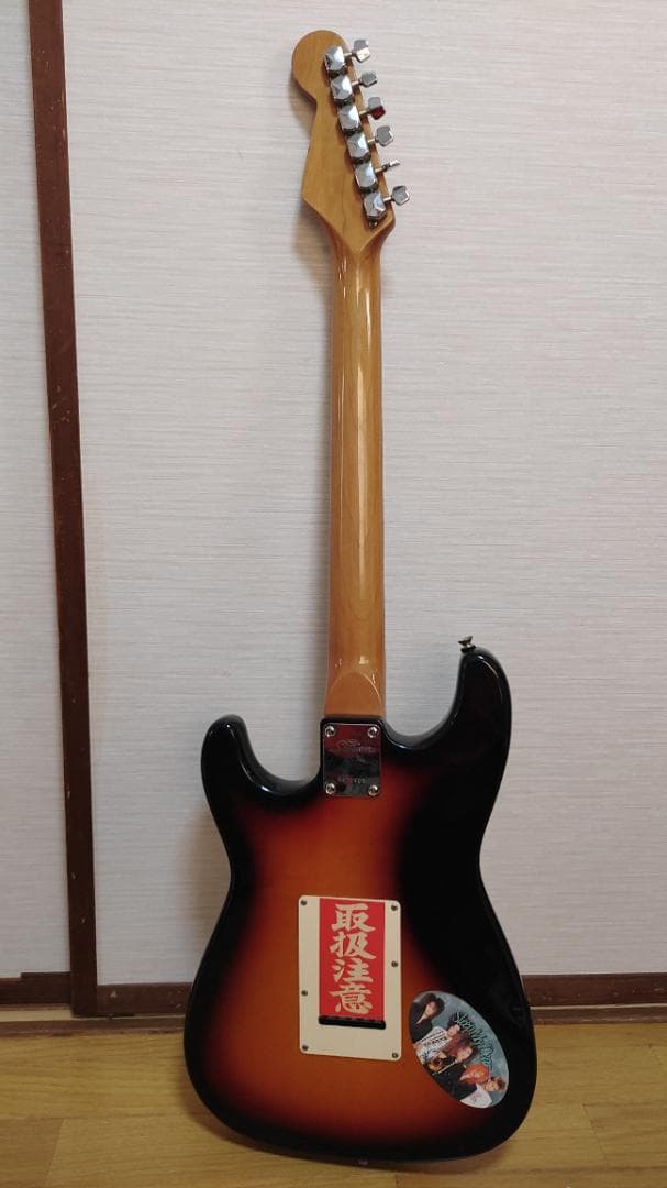 Pro Session エレキギター