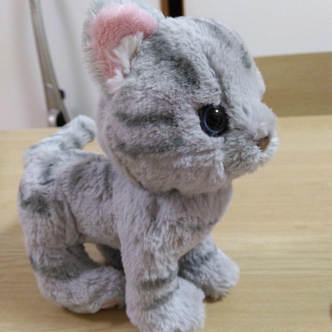 猫のぬいぐるみ