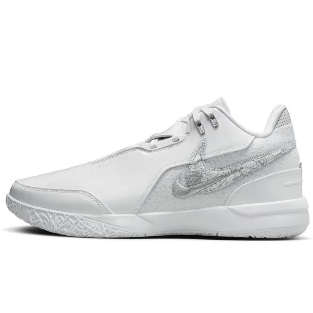 ✨新品✨ナイキ レブロン FJ1567-102