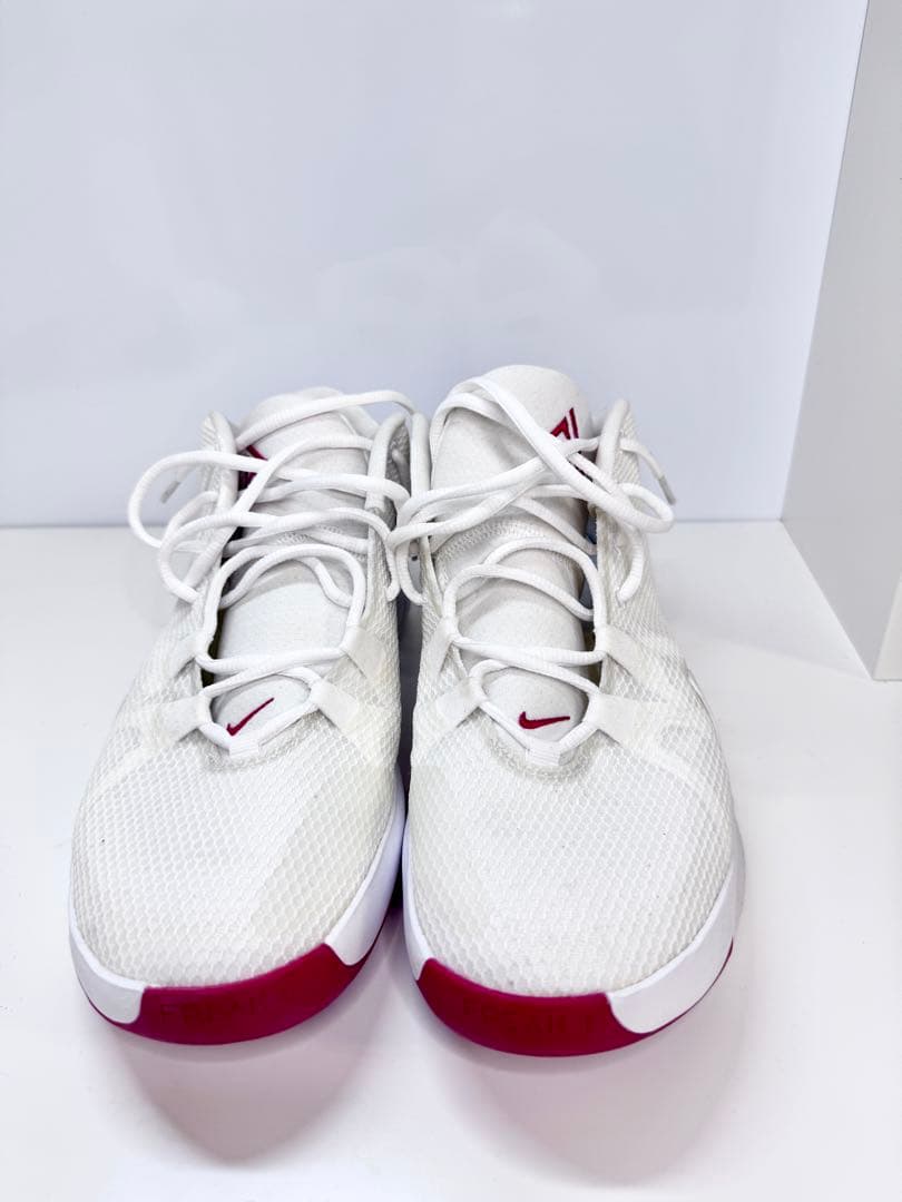 NIKE ズームフリーク1 ヤニス バッシュ 白金 人気 BQ5422-100