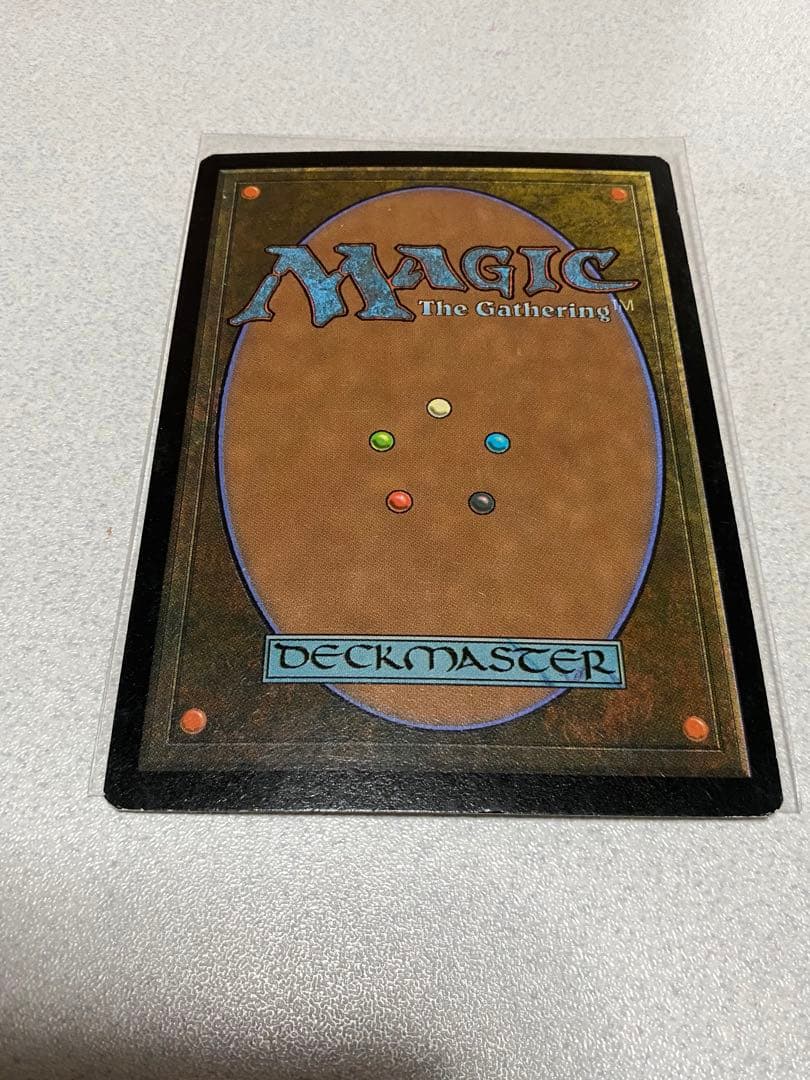 MTG 山　土地