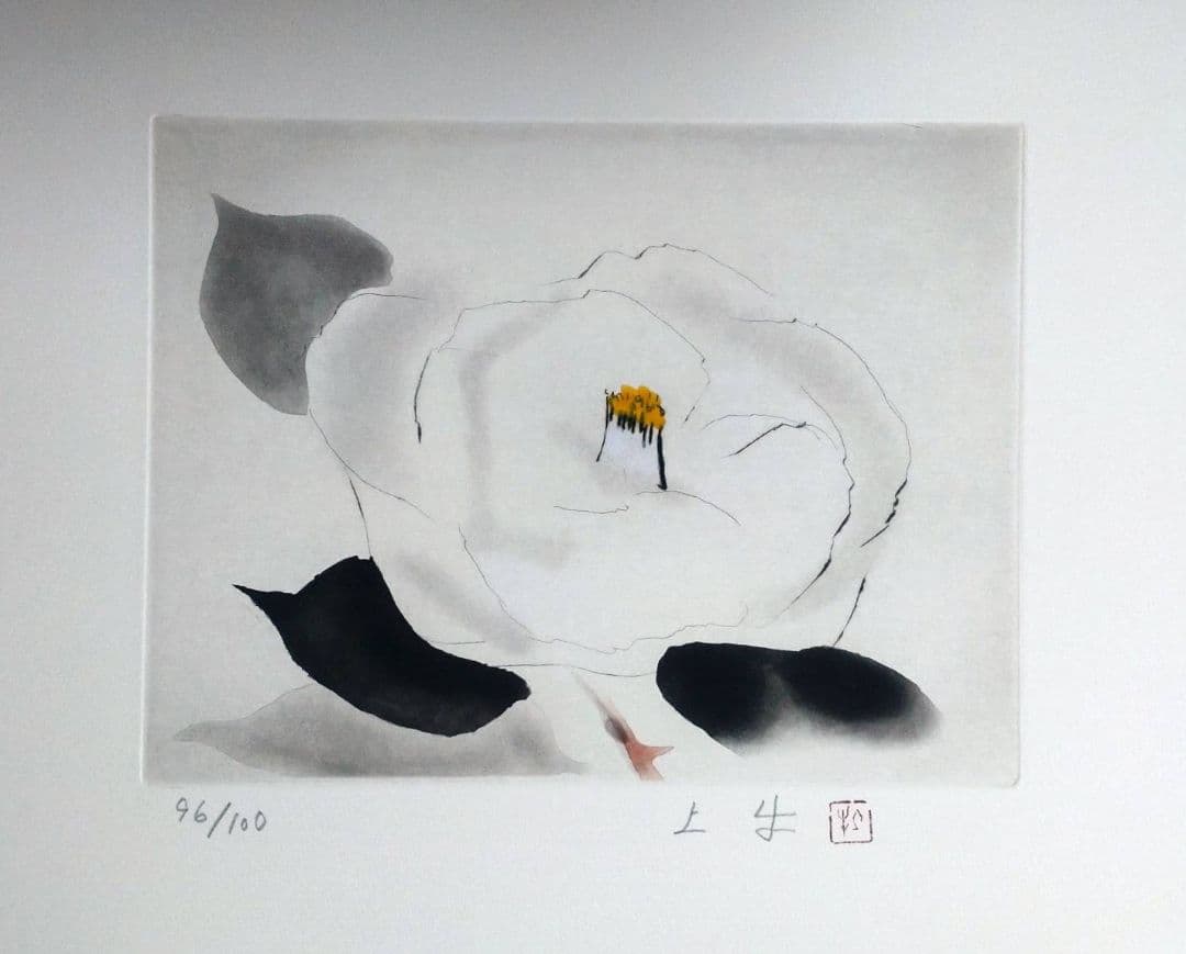 奥村土牛 銅版画集