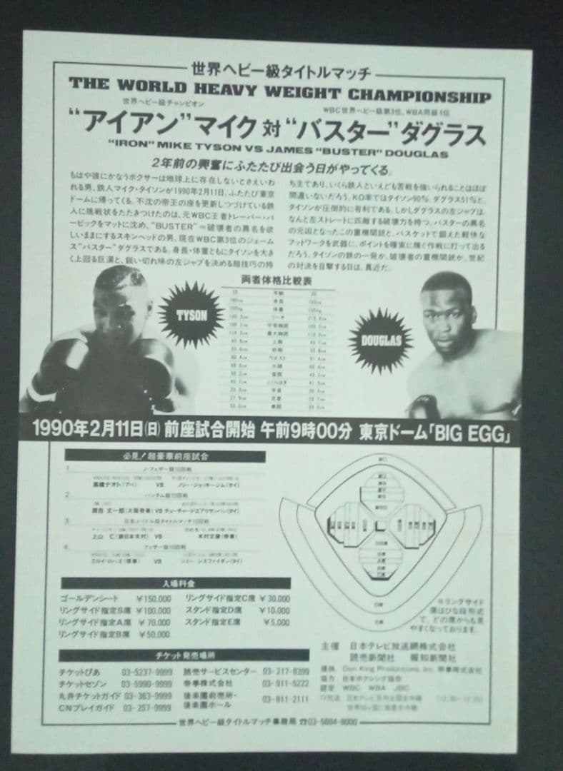 マイク・タイソン　パンフレットとチラシ　TYSON vs DOUGLAS
