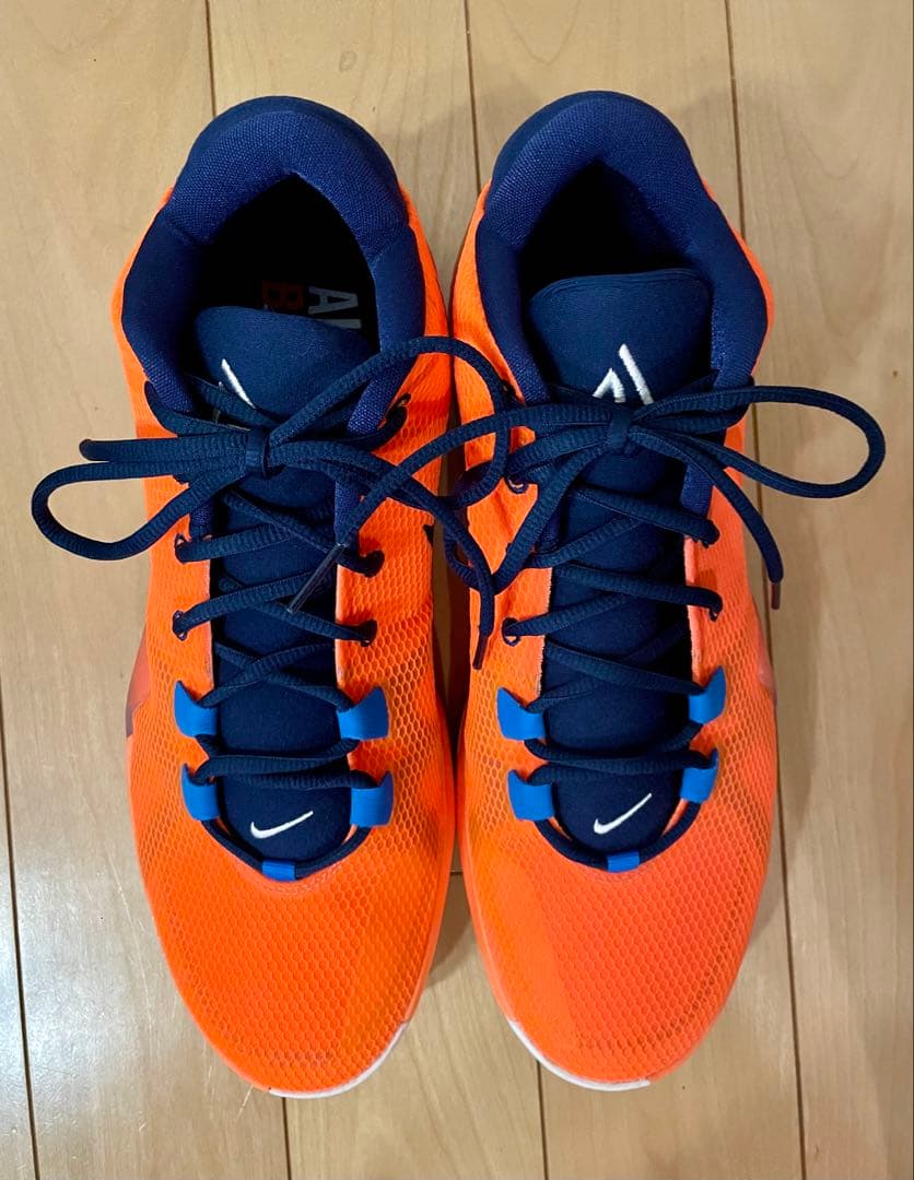 NIKE、ズームフリーク1、31センチ
