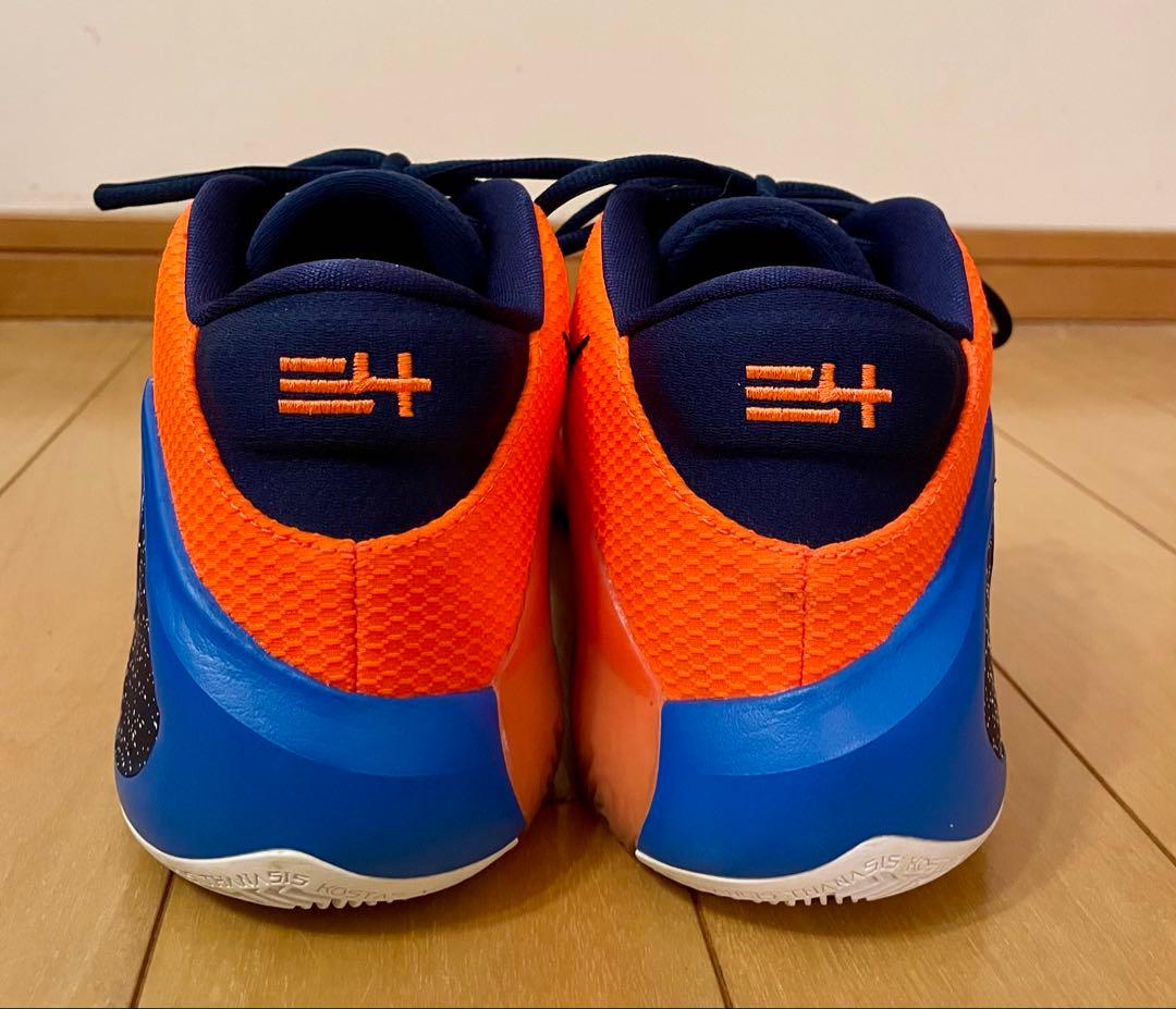 NIKE、ズームフリーク1、31センチ