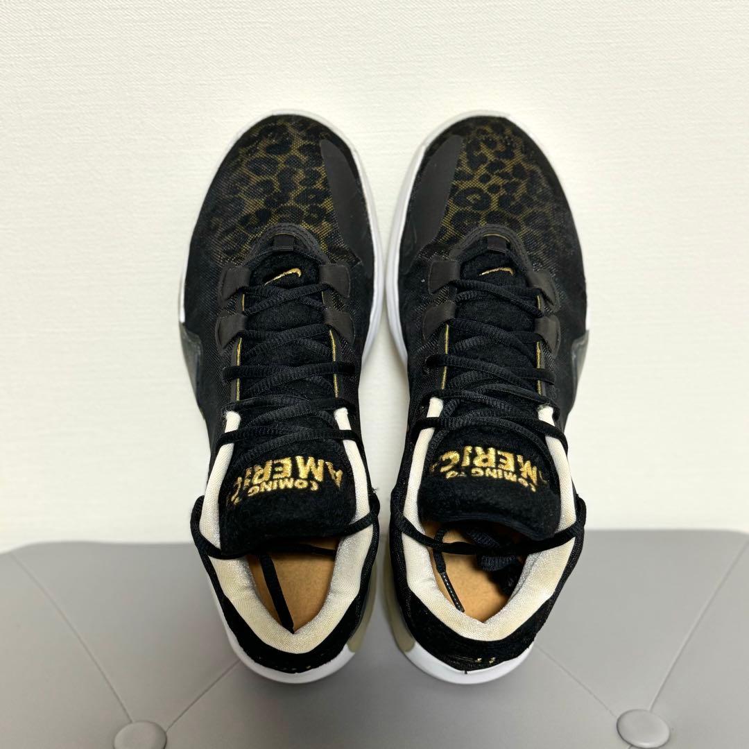 NIKE Zoom Freak1 ズームフリーク1 28.0cm ナイキバッシュ