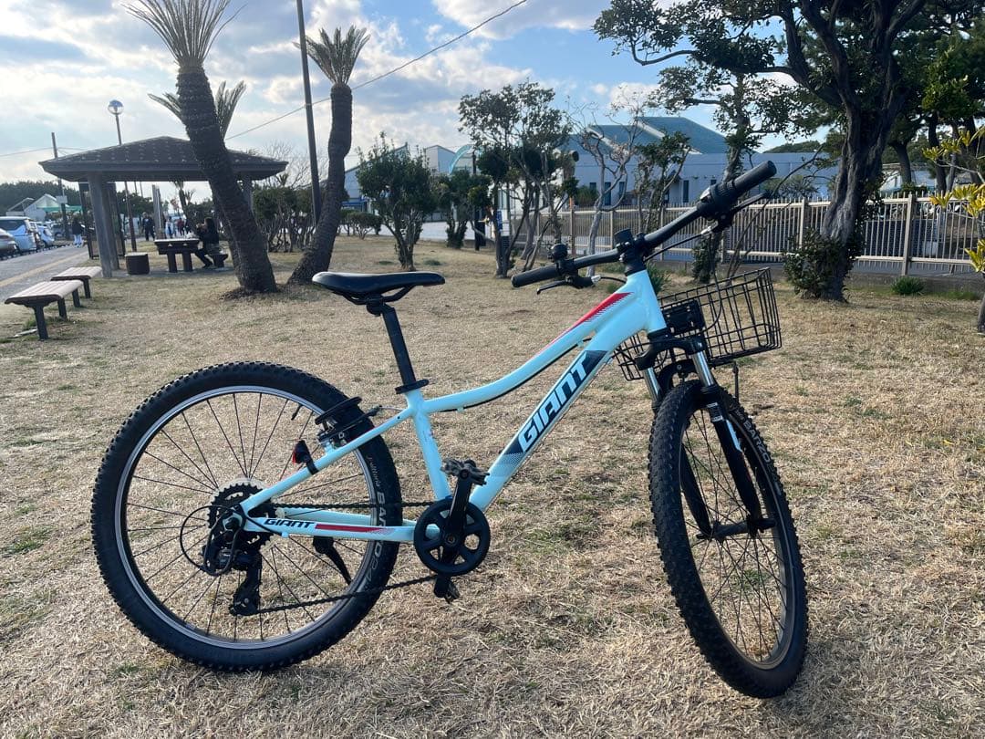 Giant XTC JR 24 マウンテンバイク