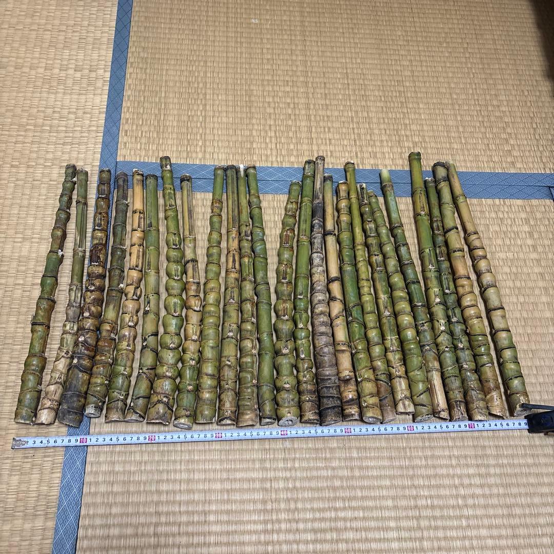 布袋竹 釣りロードグリップ用竹 25本セット400-500mm 40-50cm