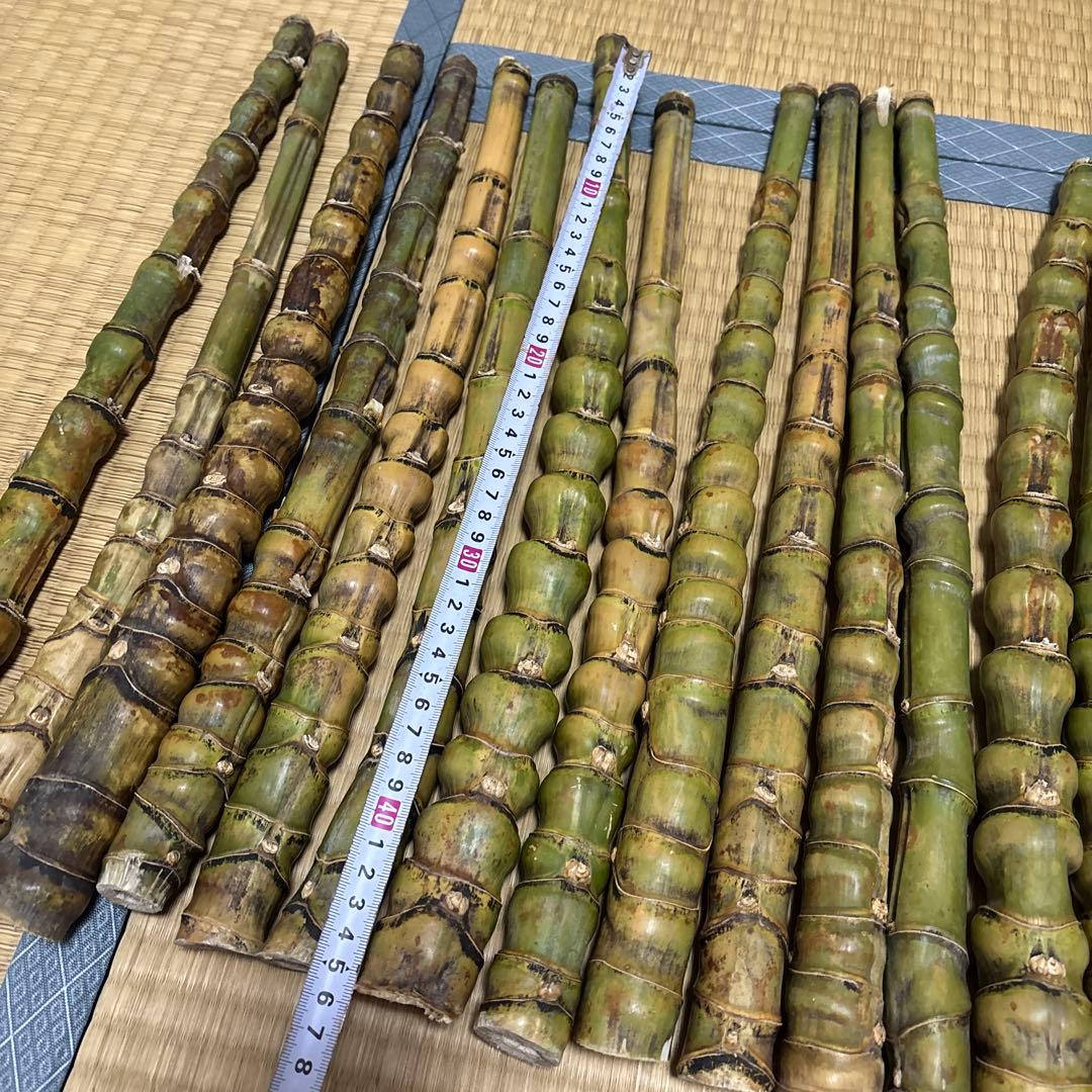 布袋竹 釣りロードグリップ用竹 25本セット400-500mm 40-50cm