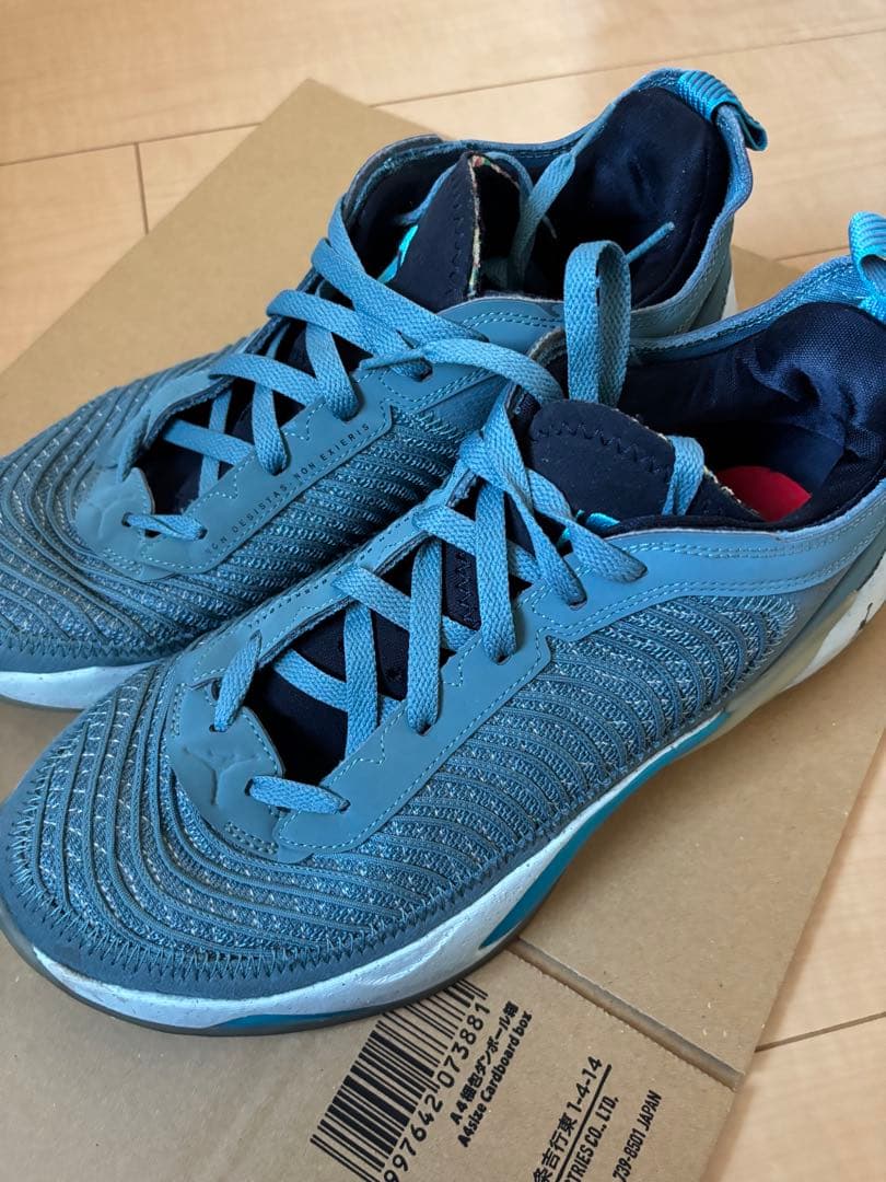 【最終値下げ】JORDAN Luka1 ルカ1 ドンチッチ