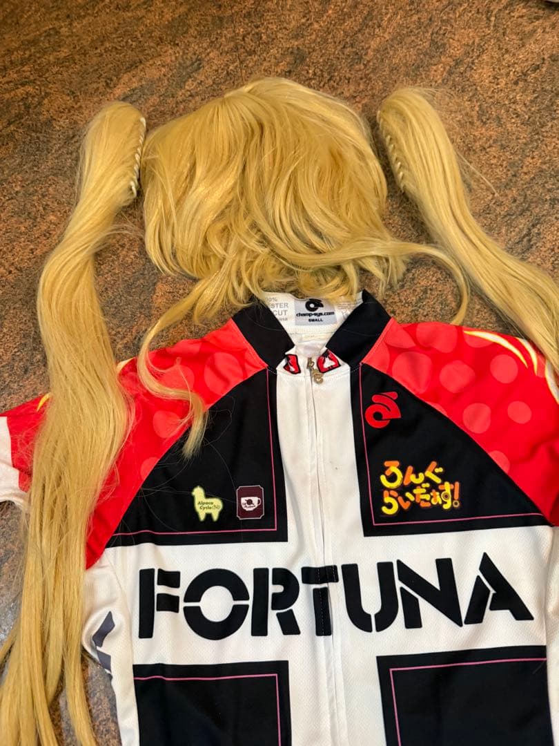 ぽ*太様 ろんぐらいだぁす！　西條雛子 コスプレ　フルセット