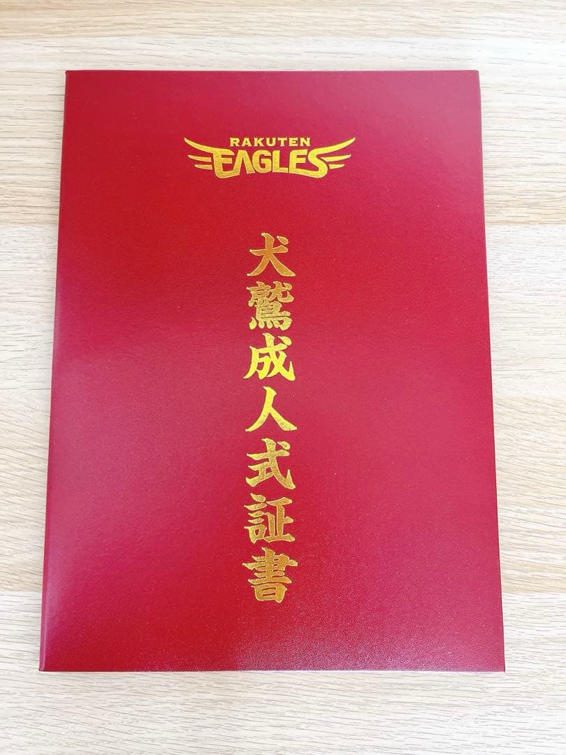 楽天イーグルス #1 宗山塁 2026 ファンクラブ ユニフォーム　Lサイズ