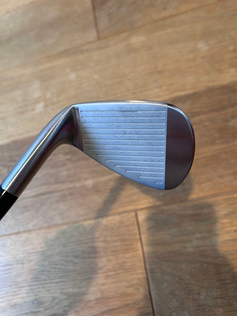 Mizuno Pro 245 No.5〜9、PW Dynamic Gold 95