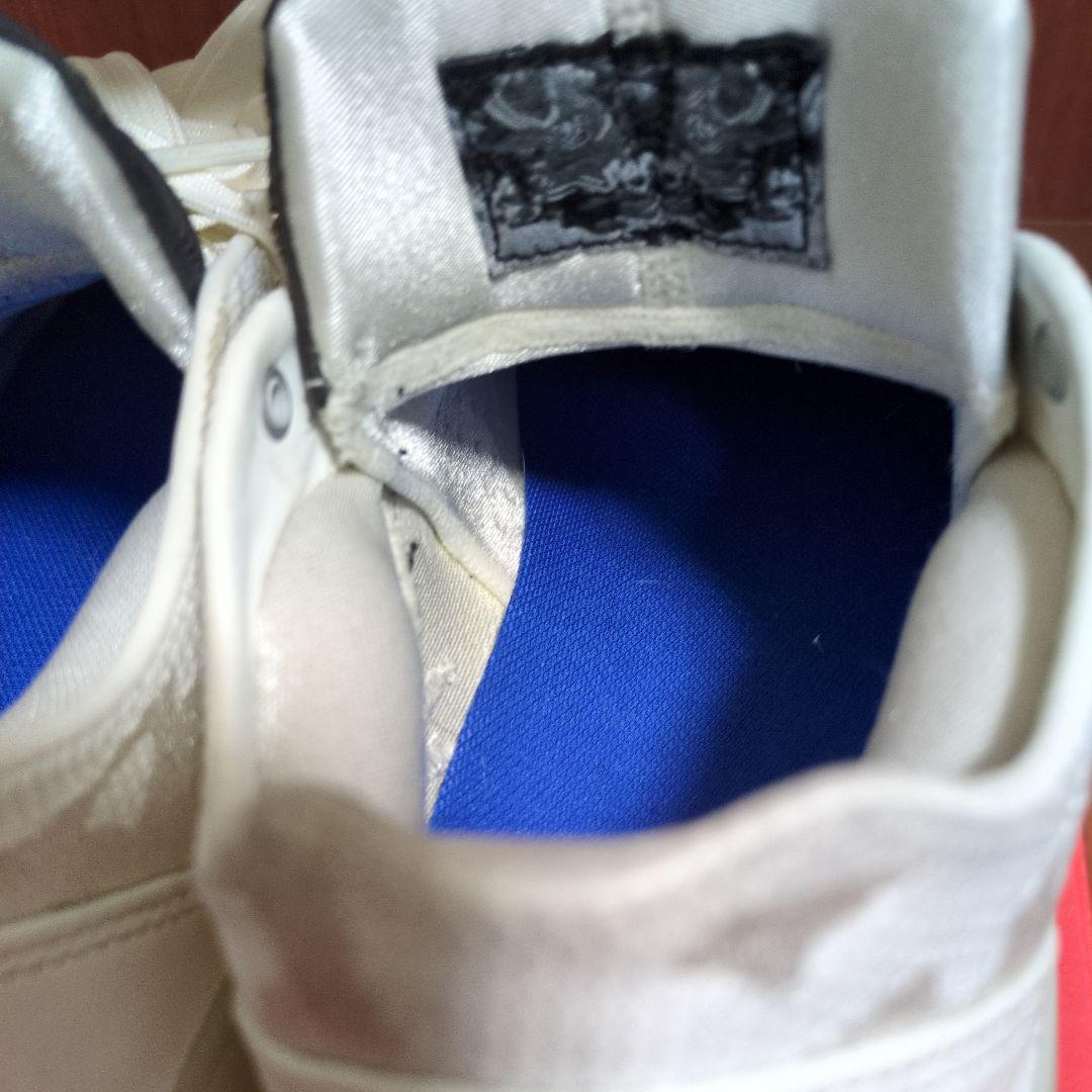 AIR JORDAN 39 PF 25cm　箱無し