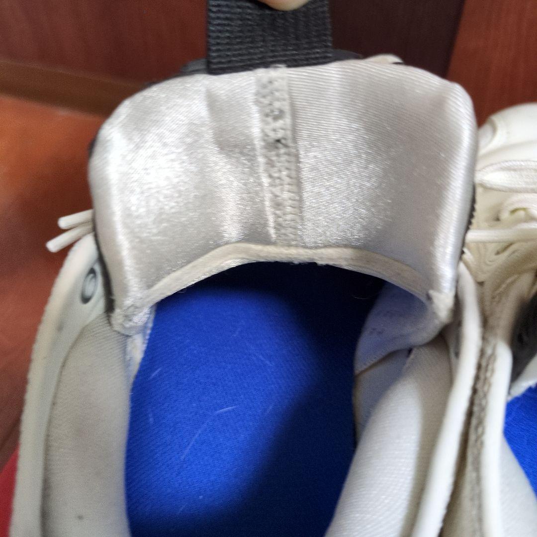 AIR JORDAN 39 PF 25cm　箱無し