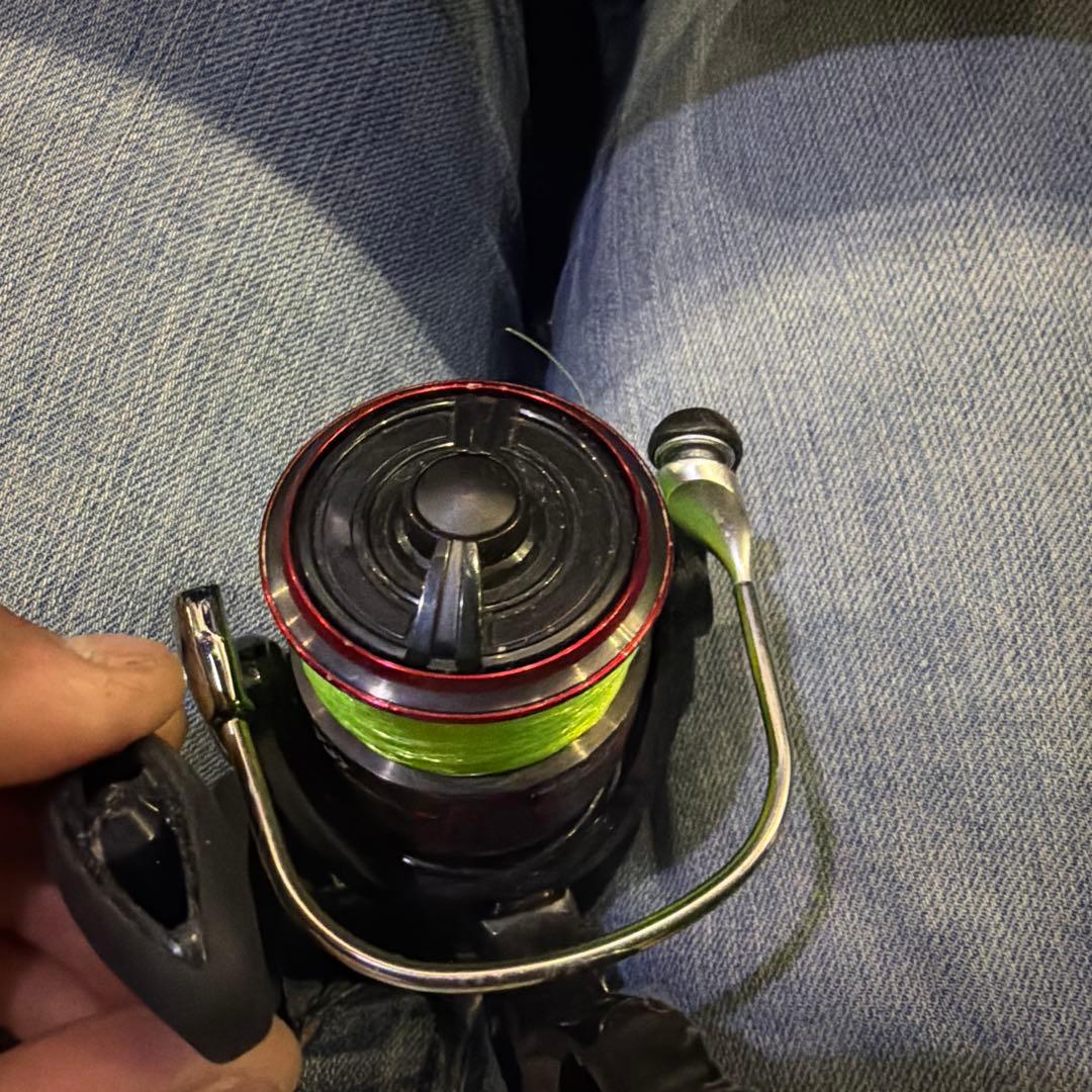 Daiwa 19CYGNUS 2500H-LBD ベイトリール
