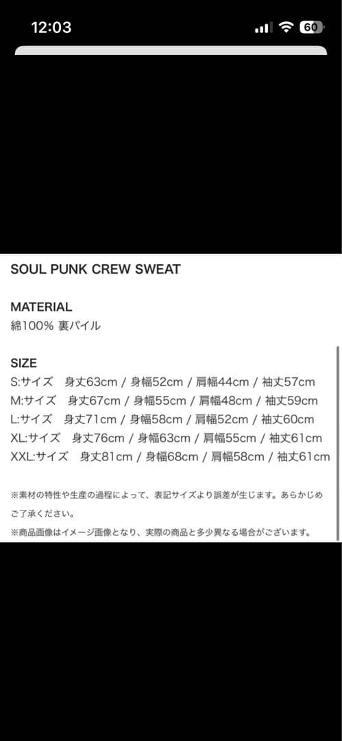 Hi-STANDARD SOUL PUNKスウェット ネイビー ハイスタ XXL