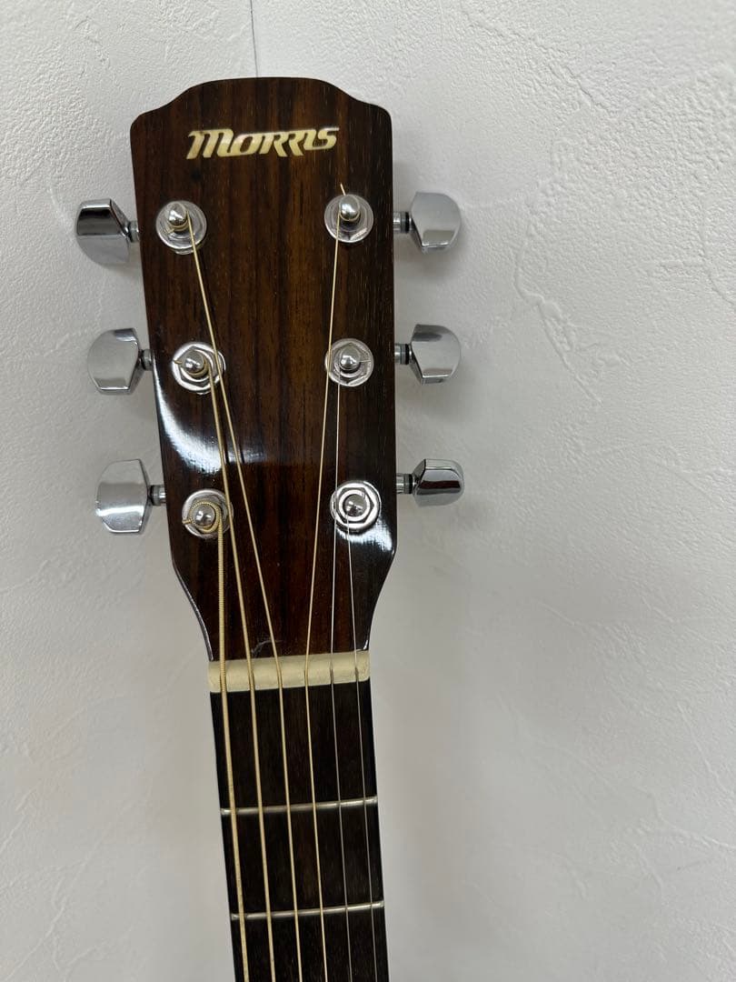 Morris アコースティックギター M-12NAT美品