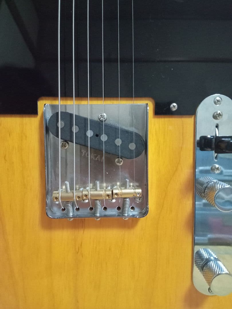 Tokai トーカイ 日本製 ATE128 VNT テレキャスター アッシュ