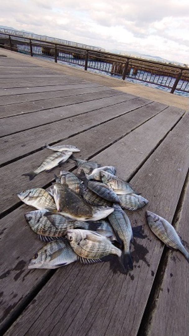 大特価早い者勝ち‼️初心者オススメ　波止・磯・サビキ釣りロッド＋リールセット‼️