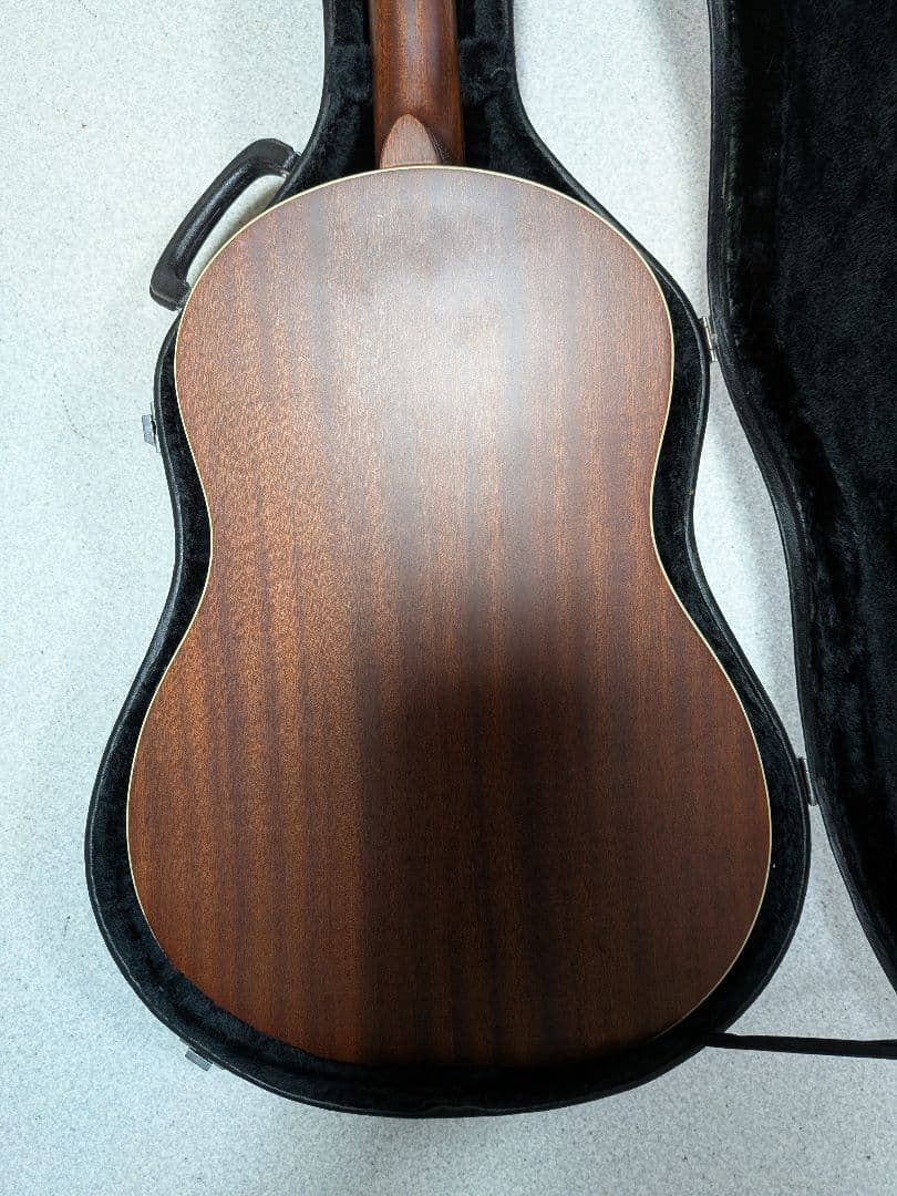 Delta Express Tricorn Wood　リゾネータートライコーン