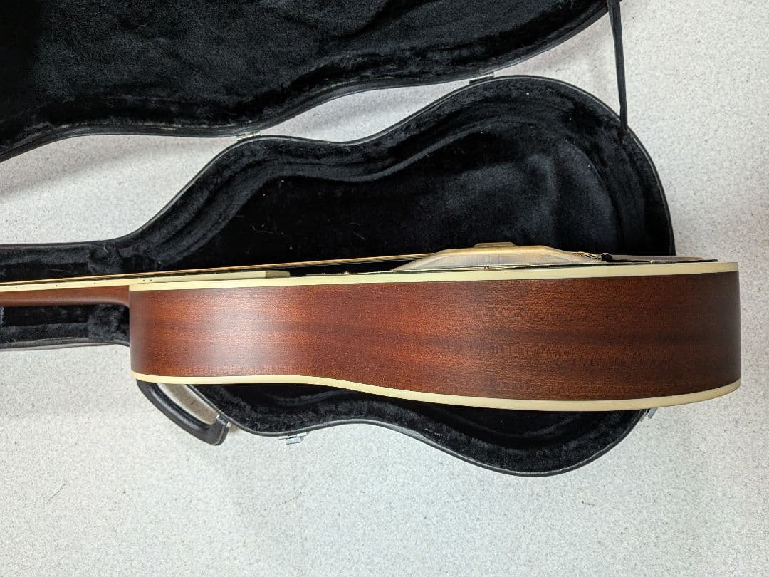 Delta Express Tricorn Wood　リゾネータートライコーン