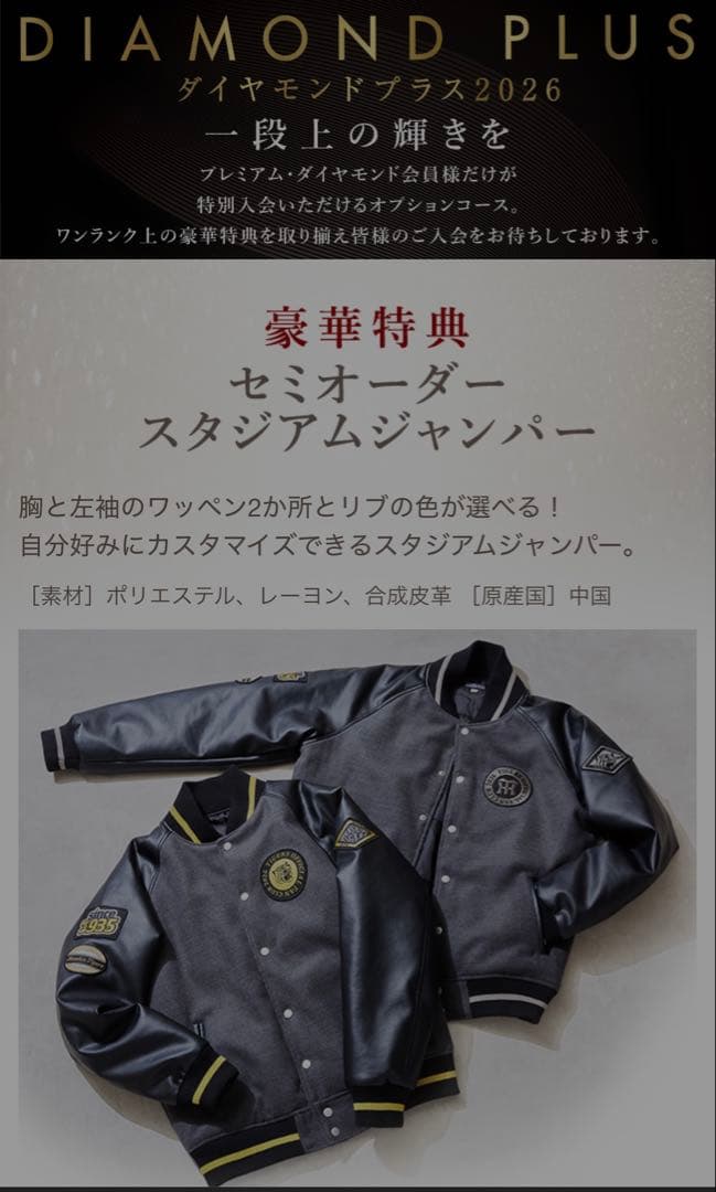 非売品　阪神タイガーススタジアムジャンパー