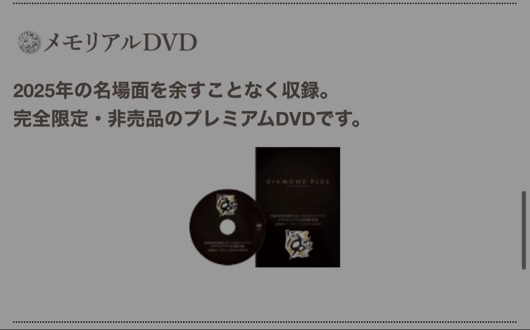 非売品　阪神タイガーススタジアムジャンパー