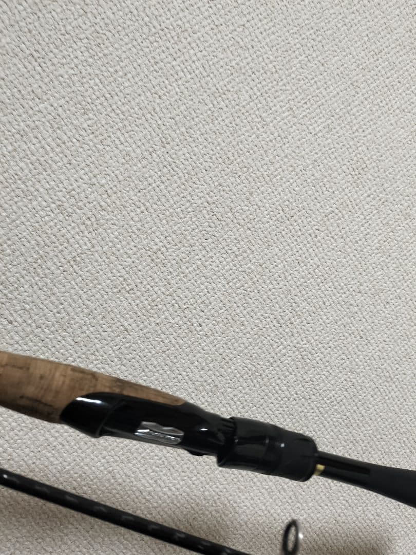ダイワ 21 BLAZON(ブレイゾン) S64L-2・ST