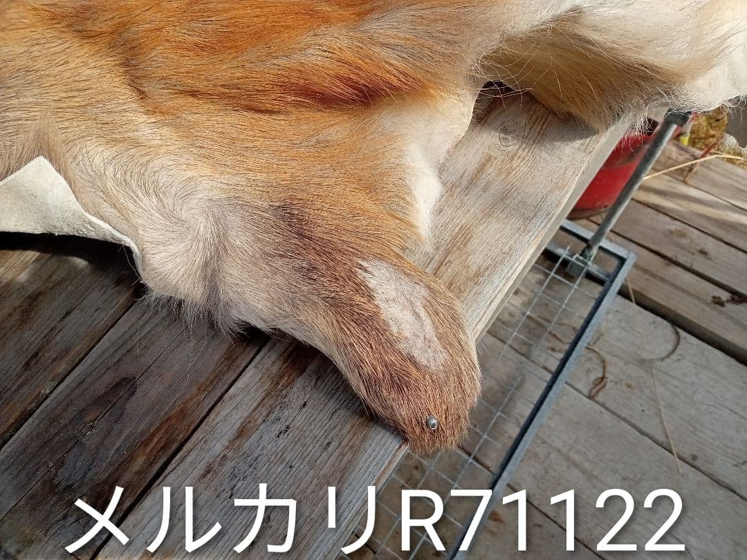 天然日本鹿夏毛　ラグ　 ブランケット