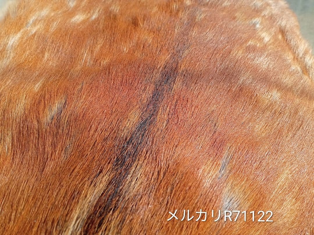 天然日本鹿夏毛　ラグ　 ブランケット