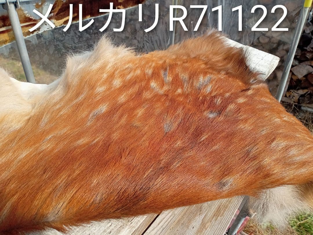 天然日本鹿夏毛　ラグ　 ブランケット
