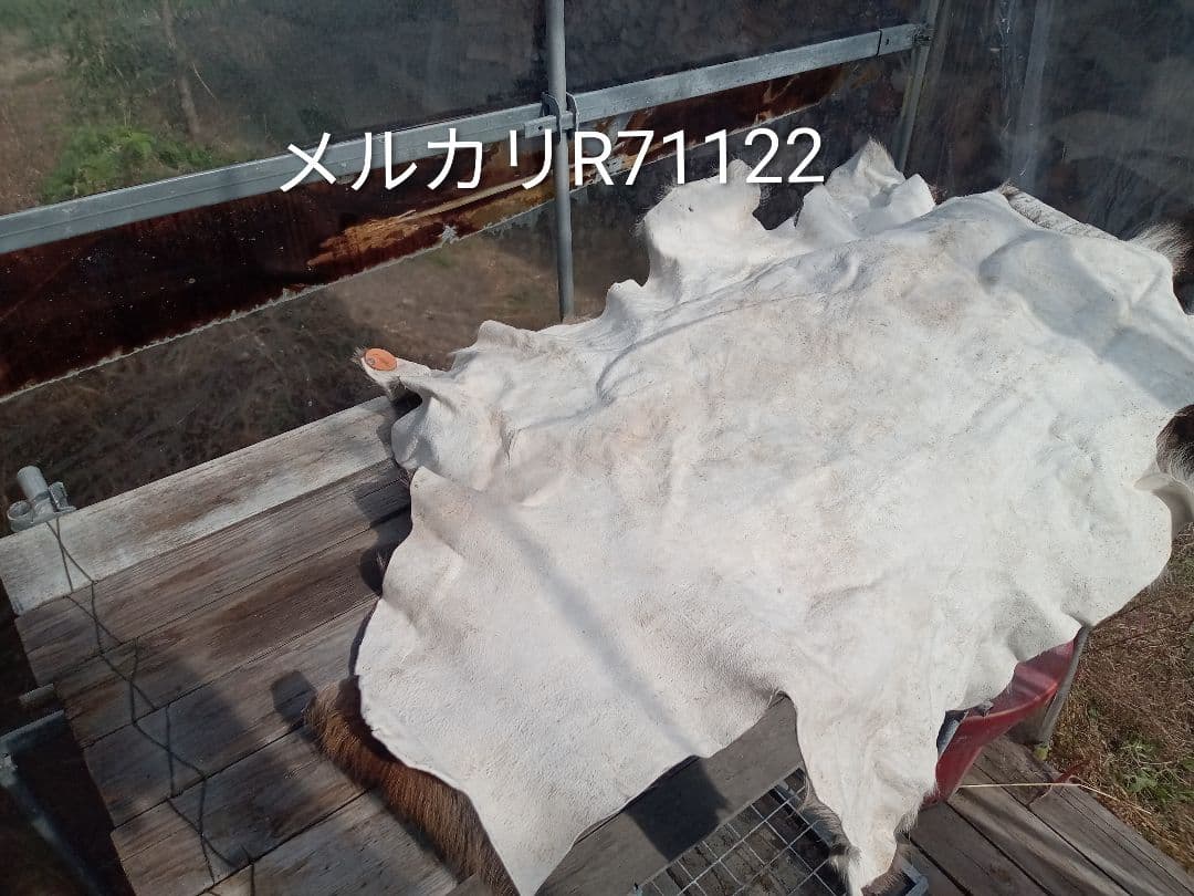 天然日本鹿夏毛　ラグ　 ブランケット
