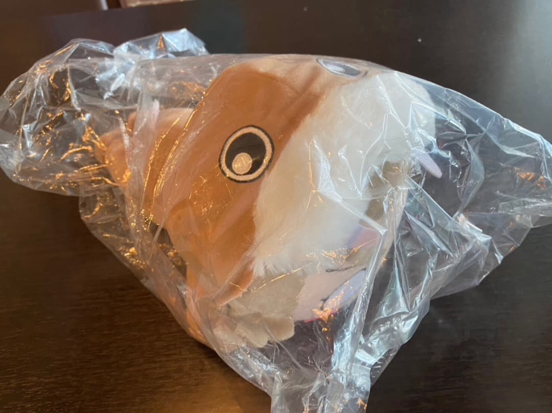 ラブライブサンシャインなどのぬいぐるみでーす！