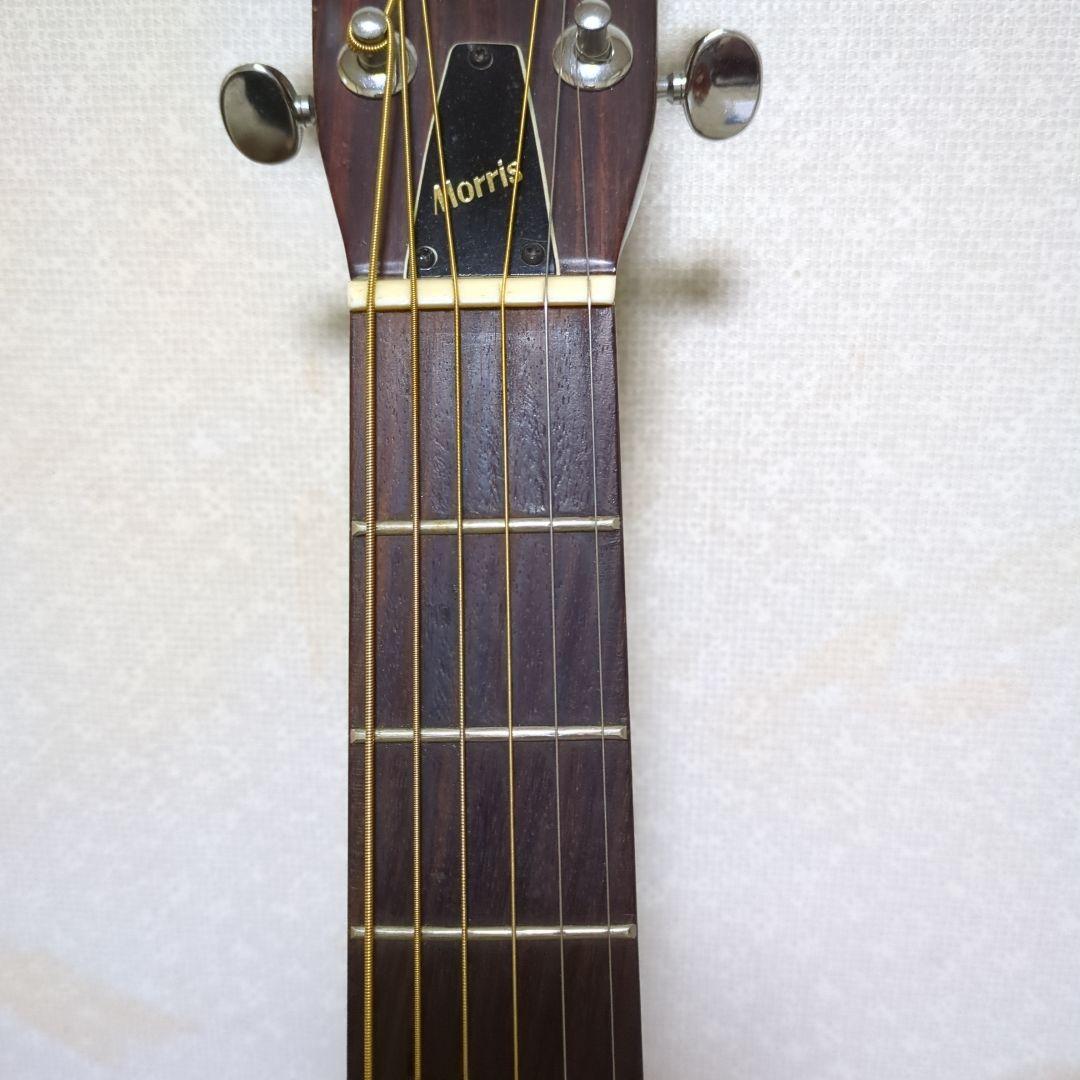 Morris アコースティックギター ドレッドノート
