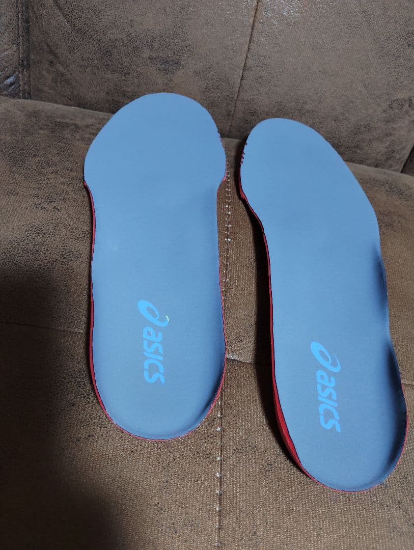シューズ ASICS DS LIGHT PRO WIDE 29.0cm