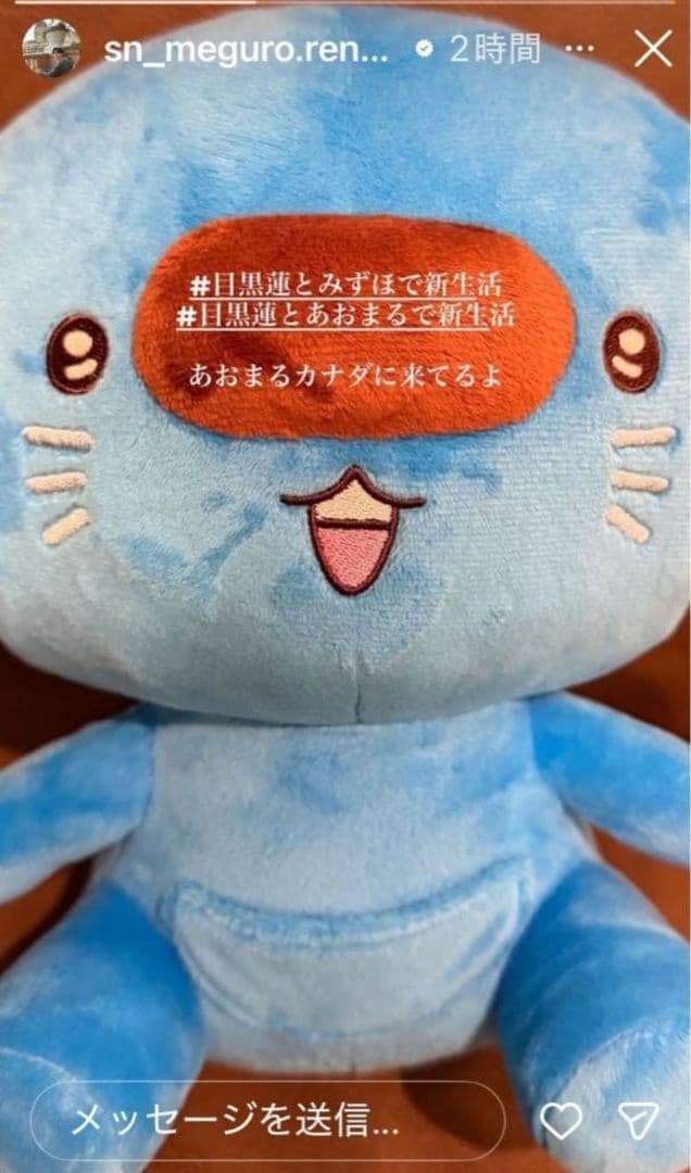 あおまる♥️ぬいぐるみ♥目黒蓮