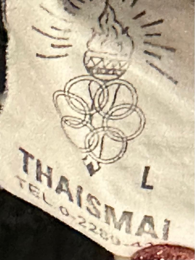 タイマサイ　ウィンディ　ISAMI 格闘技　まとめ