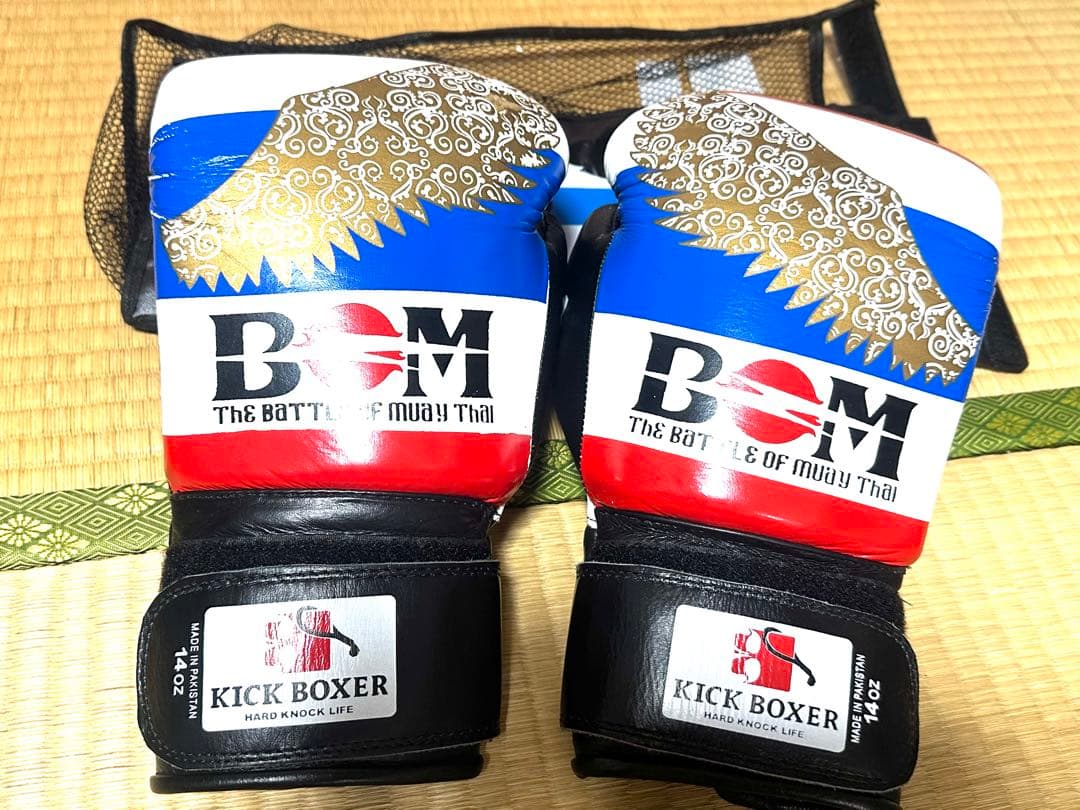 タイマサイ　ウィンディ　ISAMI 格闘技　まとめ